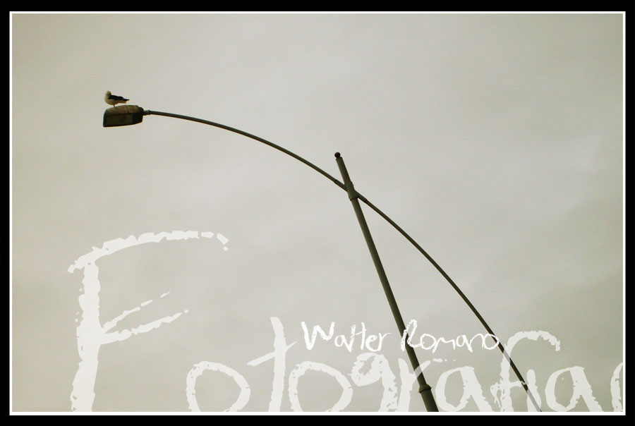 fotografo-casamiento fotos-lindas