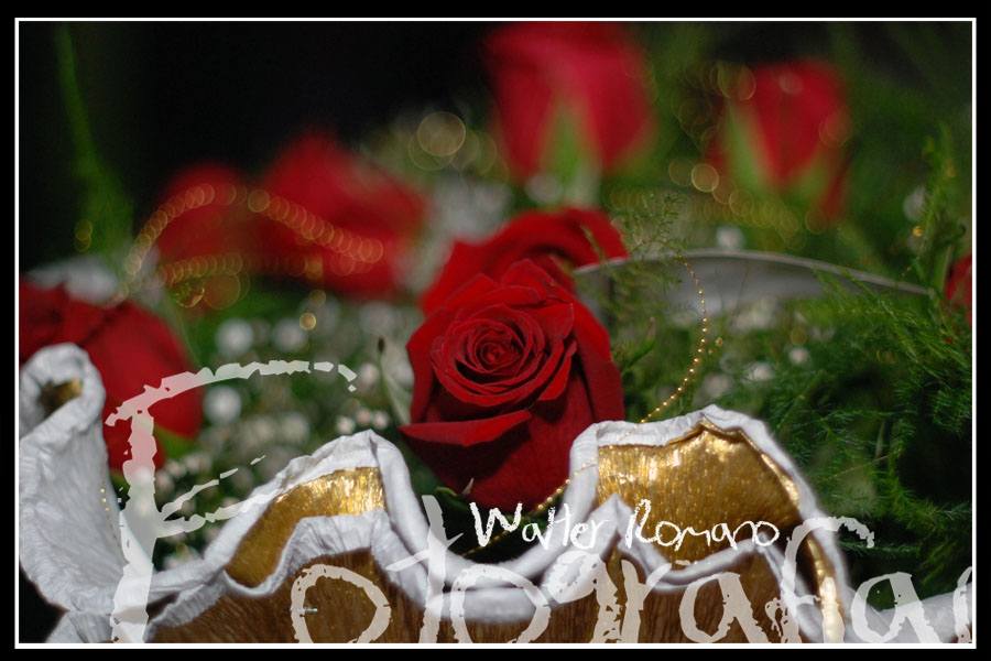 cumpleaños-15-años-fotografias-4 cumpleaños-15-años-fiesta-mendoza