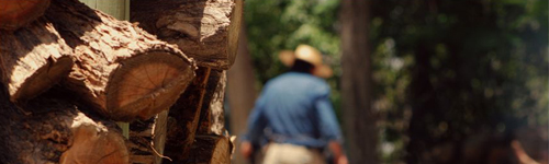 Fotos Instituto Saldivar Walter Romano Photography