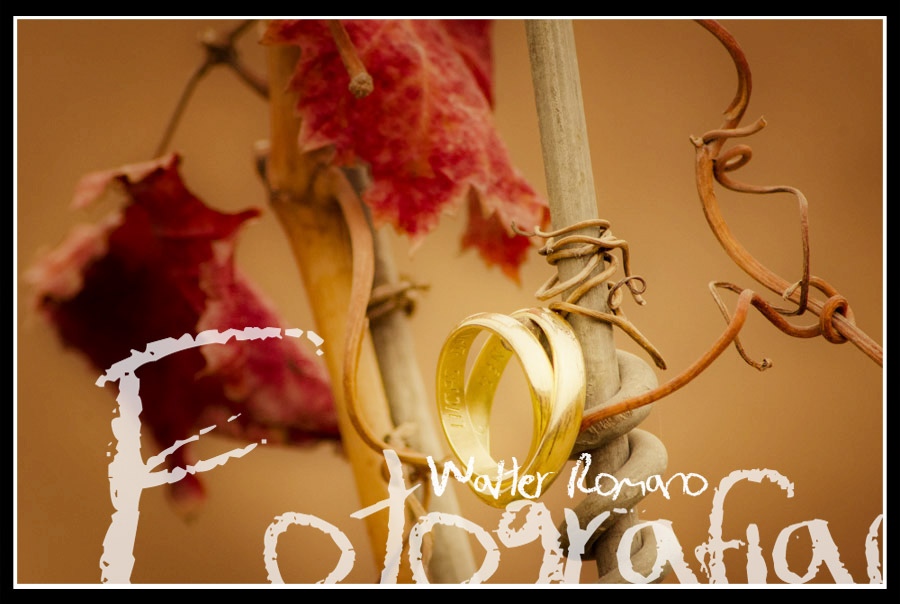 mendoza-en-de-fotógrafos-eventos-casamientos-boda