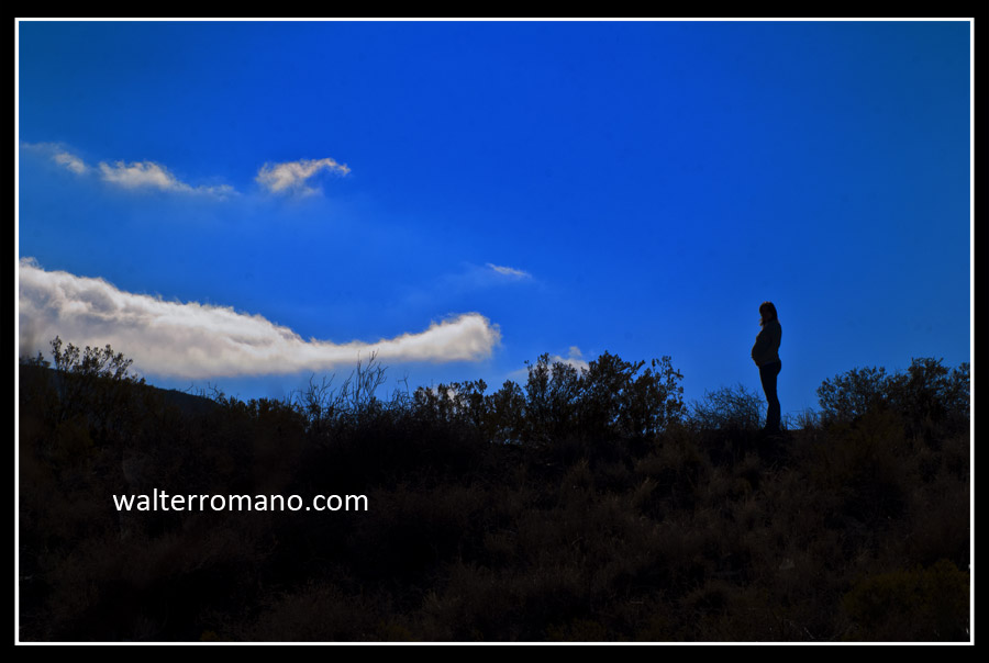 fotografias-embarazos-embarazadas-fotos