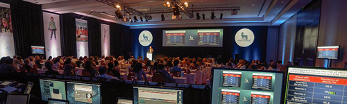 Fotos hotel Sheraton Walter Romano Photography